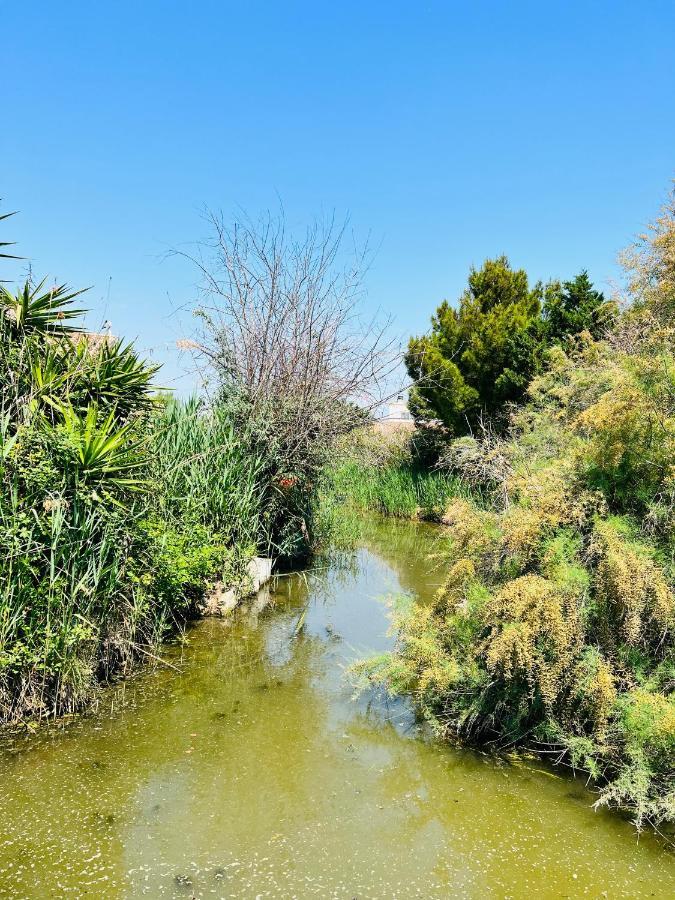 Cabane Le Flamant Avec Jardin, Piscine Et Parking Saintes-Maries-de-la-Mer Kültér fotó