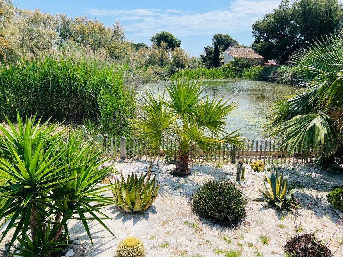 Cabane Le Flamant Avec Jardin, Piscine Et Parking Saintes-Maries-de-la-Mer Kültér fotó