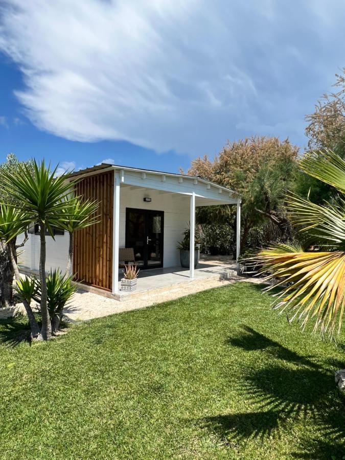 Cabane Le Flamant Avec Jardin, Piscine Et Parking Saintes-Maries-de-la-Mer Kültér fotó